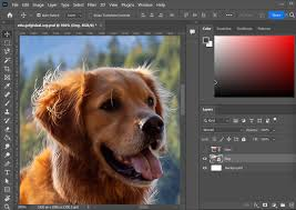 Adobe Photoshop