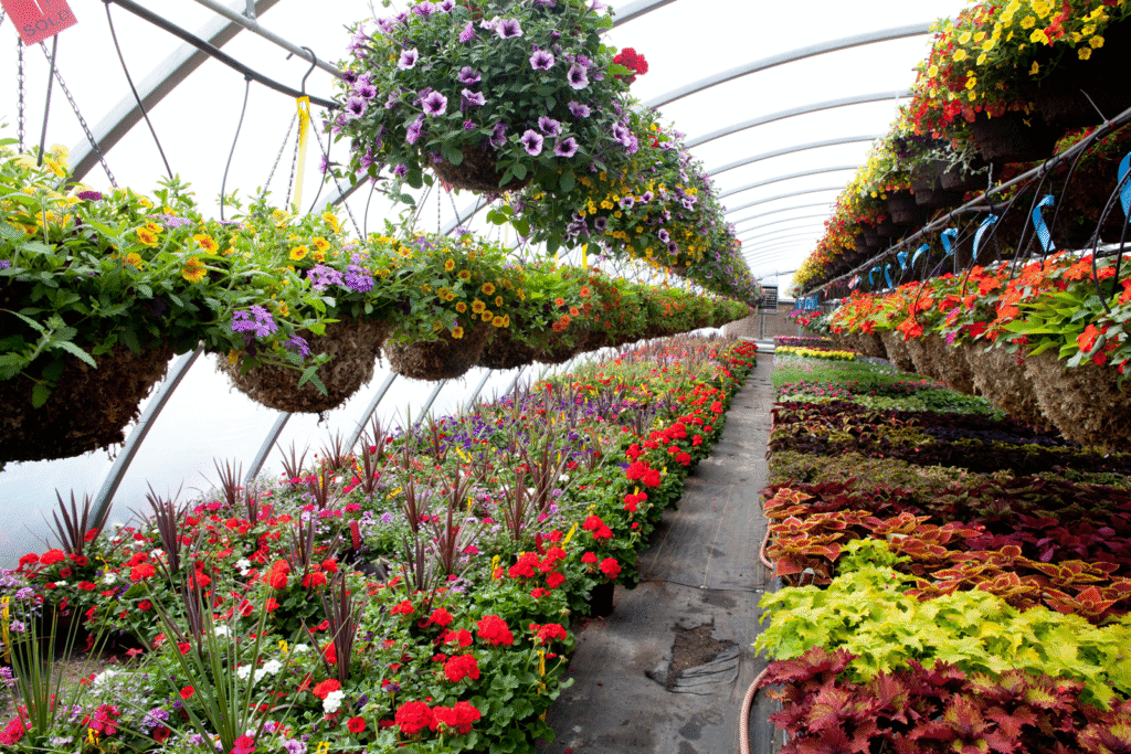 Flower Nursery Business From Home