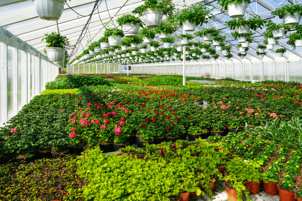 Flower Nursery Business From Home
